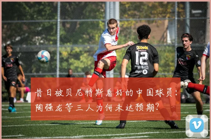 昔日被贝尼特斯看好的中国球员：陶强龙等三人为何未达预期？